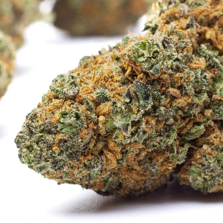 Blueberry